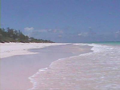 Pink Sand Beach in Eleuthra