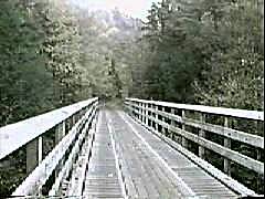 Another trestle over the creek