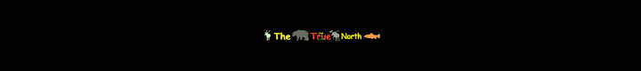 The True North animated gif